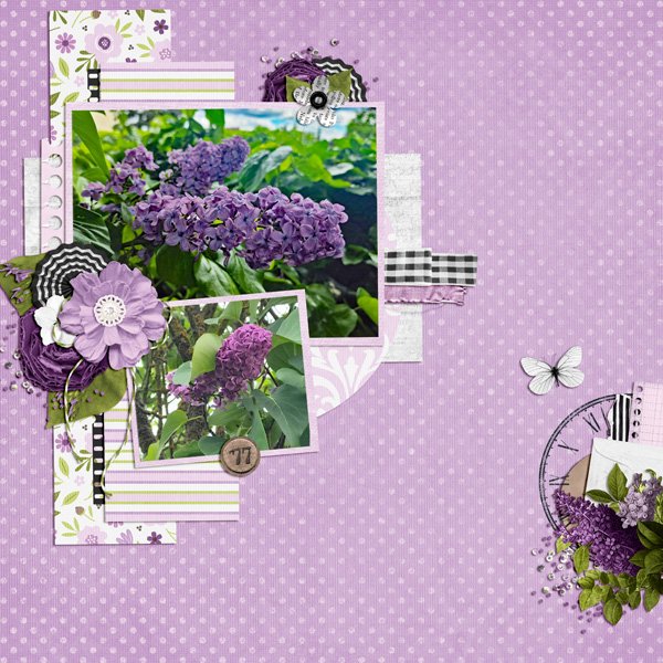 lilacs