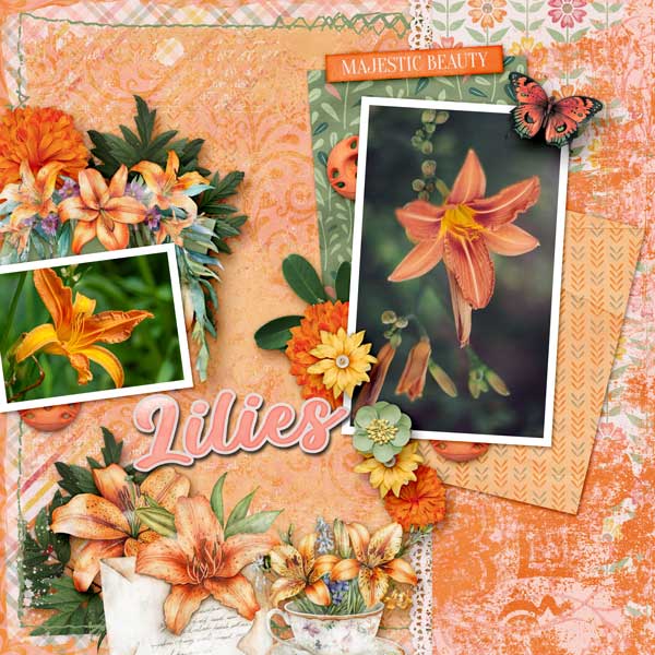 lilies-aimee-harrison.jpg