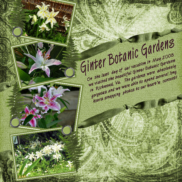Lilies at Ginter