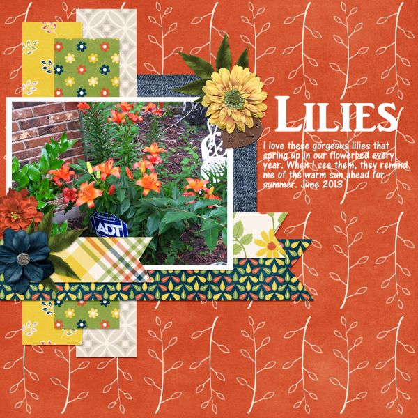 Lilies