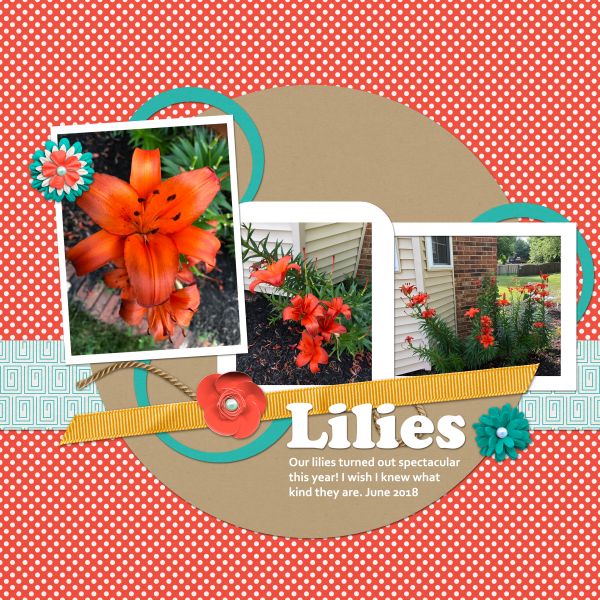 Lilies