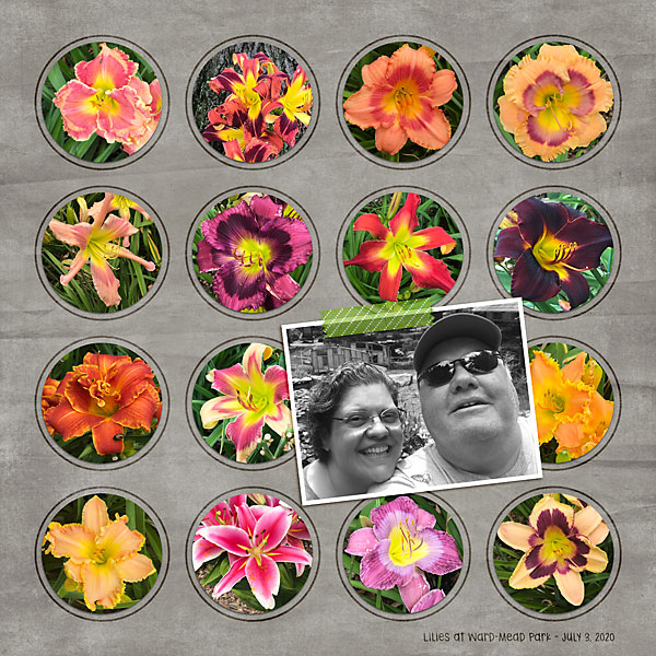 Lilies