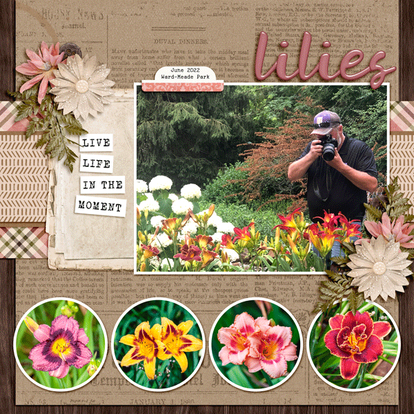 lilies