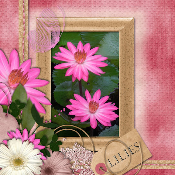 Lilies