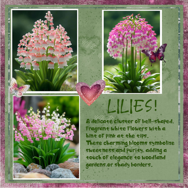Lilies!