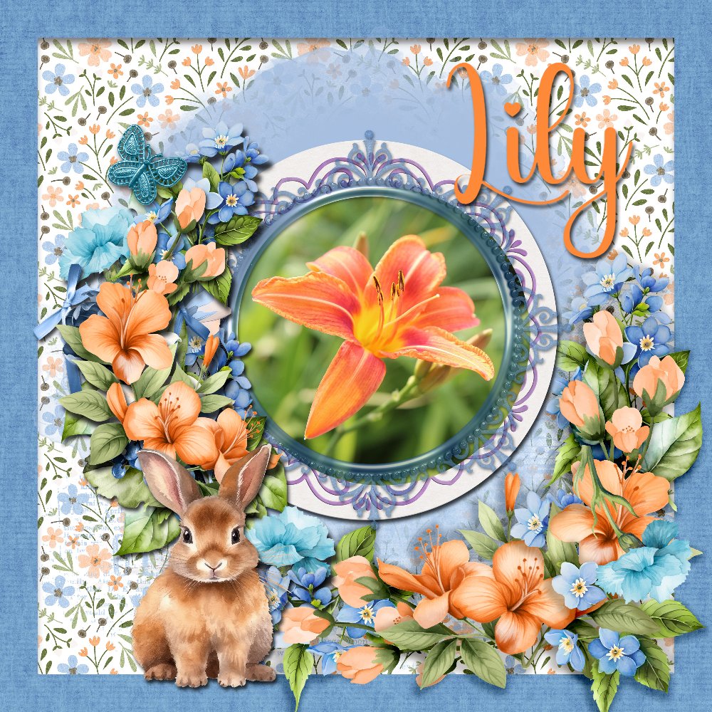 Lilies