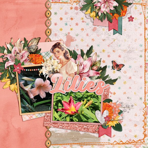 Lilies