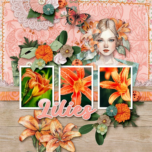Lilies
