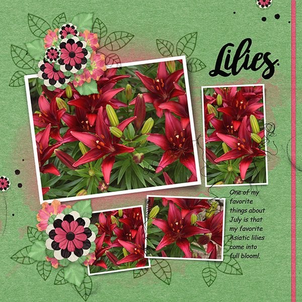 Lillies