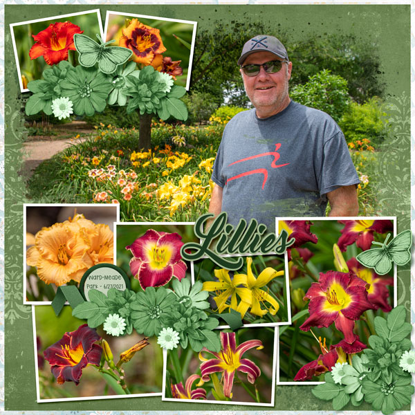 Lillies