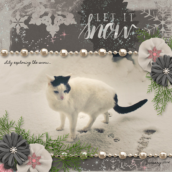 Lily in the Snow