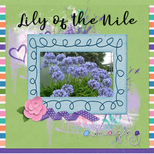 Lily of the Nile
