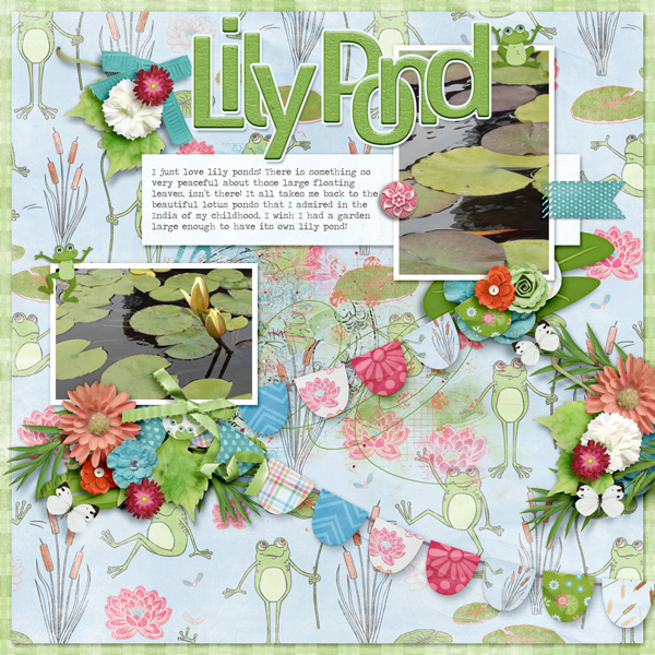 Lily Pond