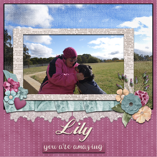 Lily the Truffle Dog