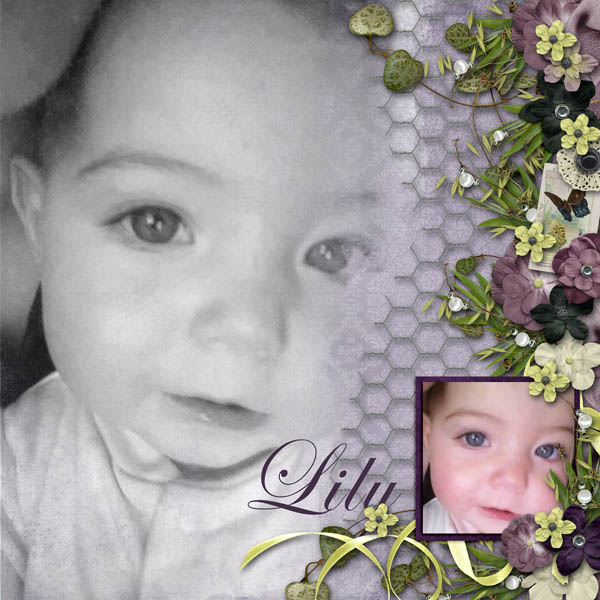 Lily