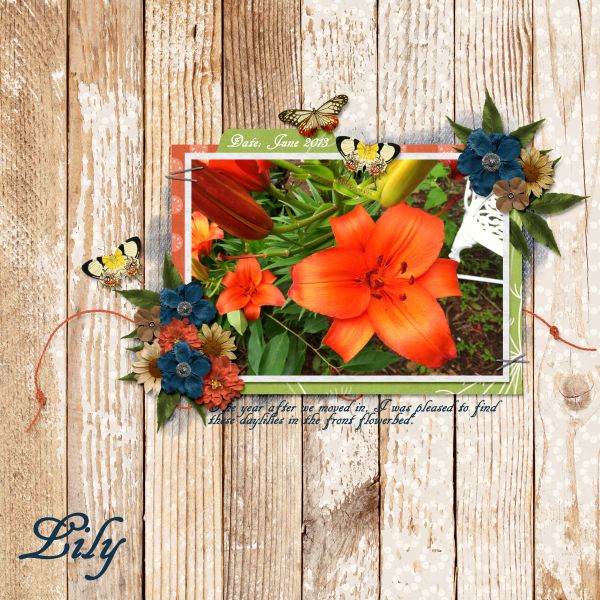 Lily