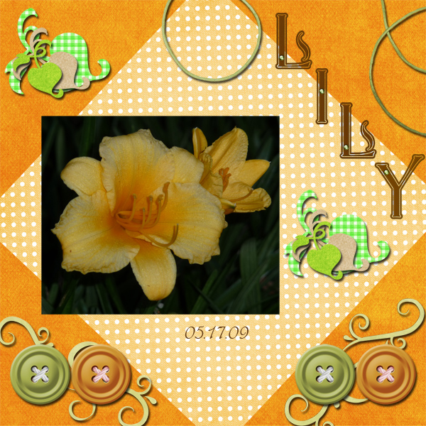 Lily