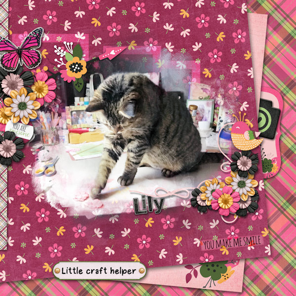 Lily
