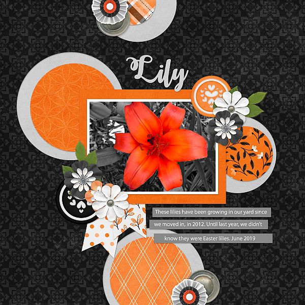 Lily
