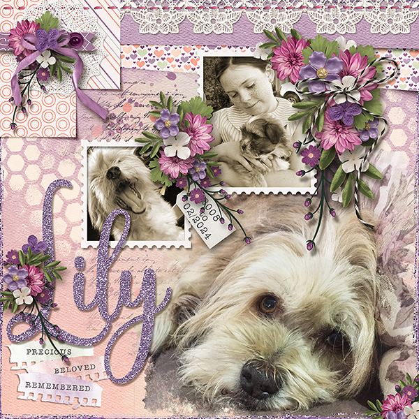 Lily