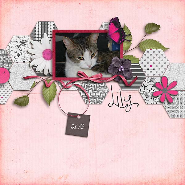 Lily