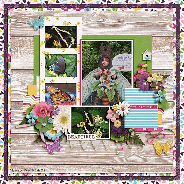 lilybutterfly