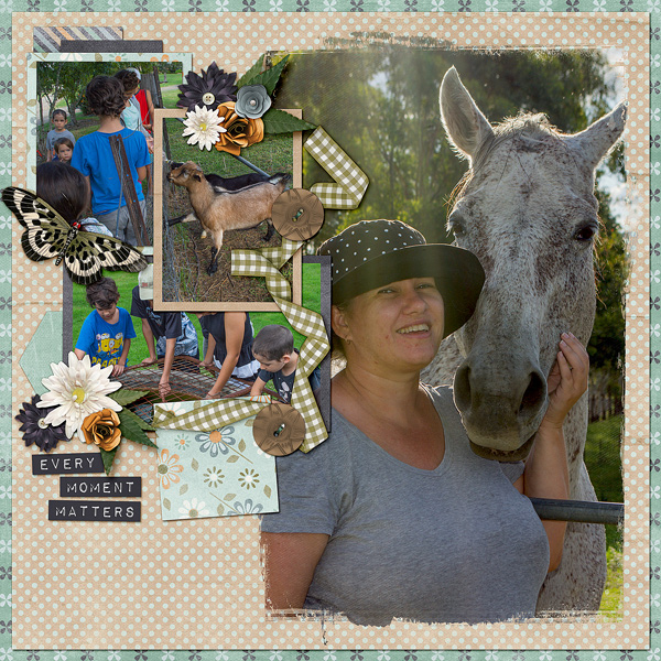 Lilydale Farmstay