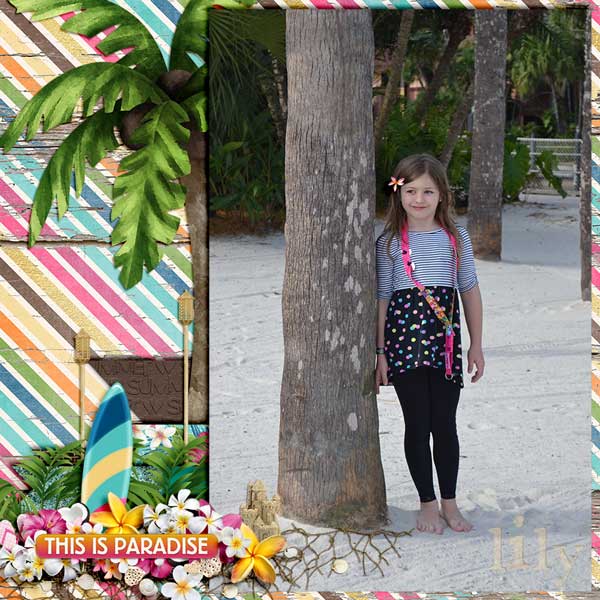 lilypolybeach
