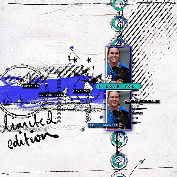 Limited Edition