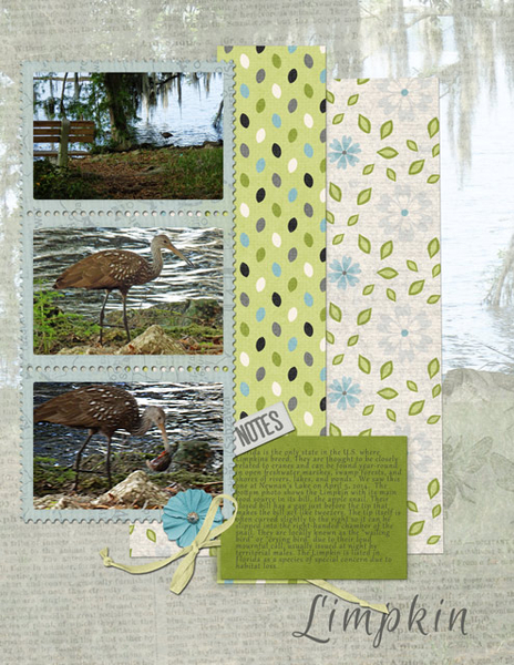 Limpkin