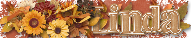 Linda Nov 2025 Siggy