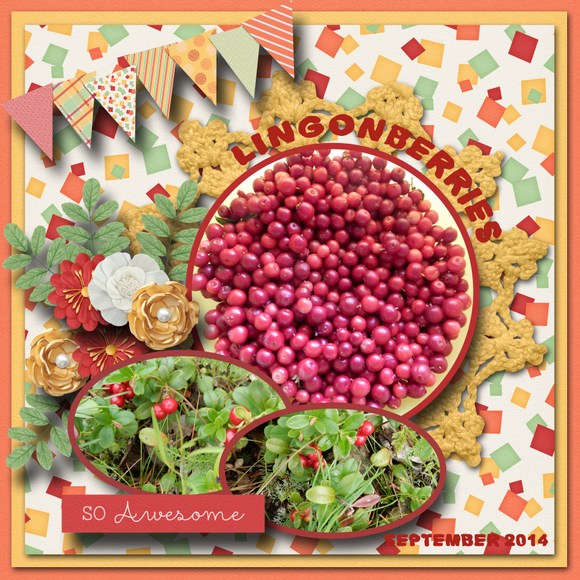 Lingonberries