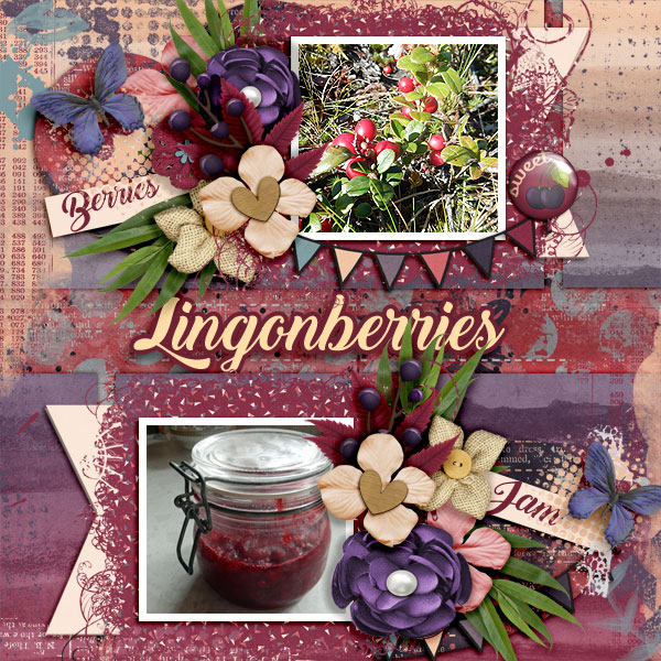 Lingonberries1