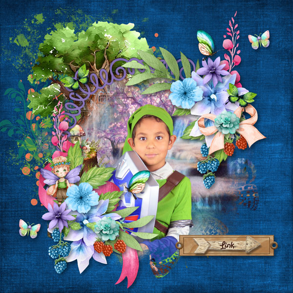 Link