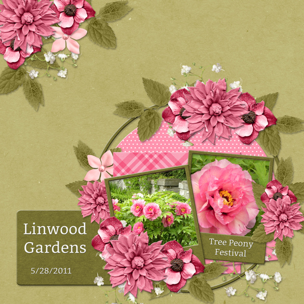 Linwood Gardens - Tree Peonies