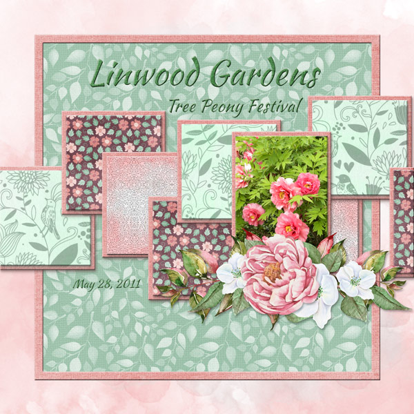 Linwood Gardens - Tree Peony Festival