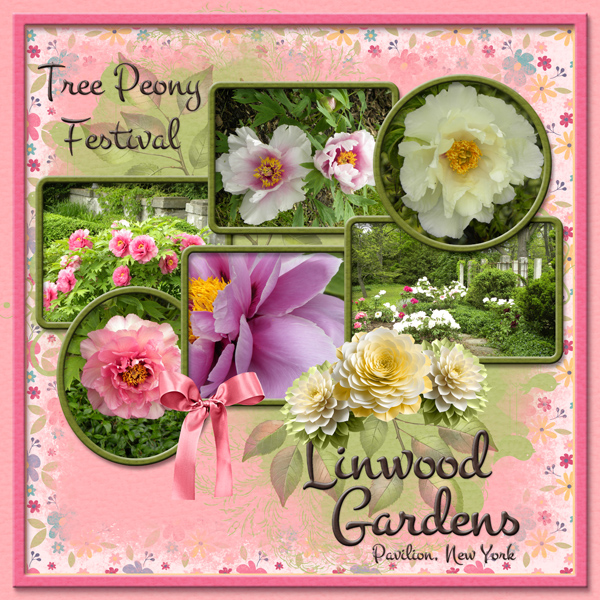 Linwood Gardens - Tree Peony Festival