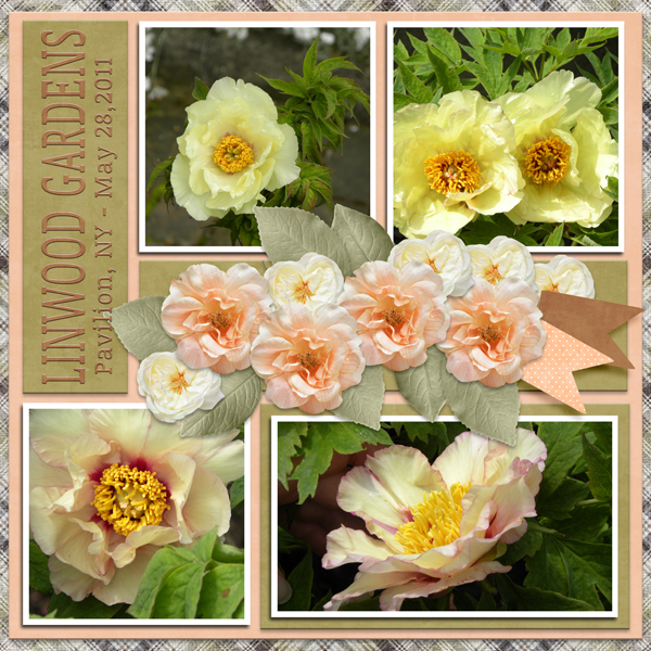 Linwood Gardens