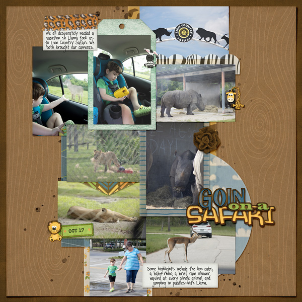 Lion Country Safari