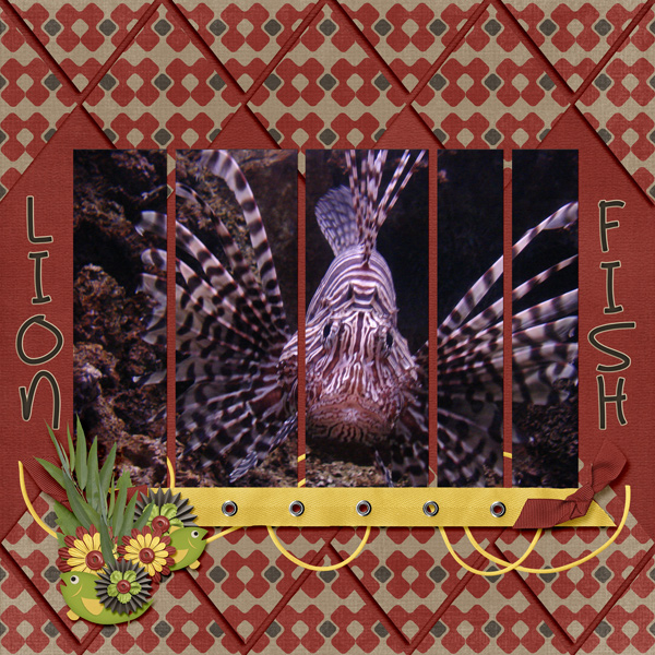 Lion Fish