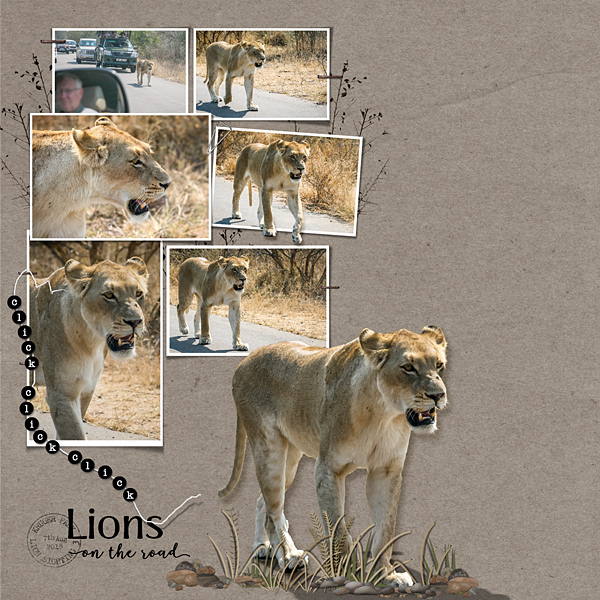 Lion Sighting No 3 LHS