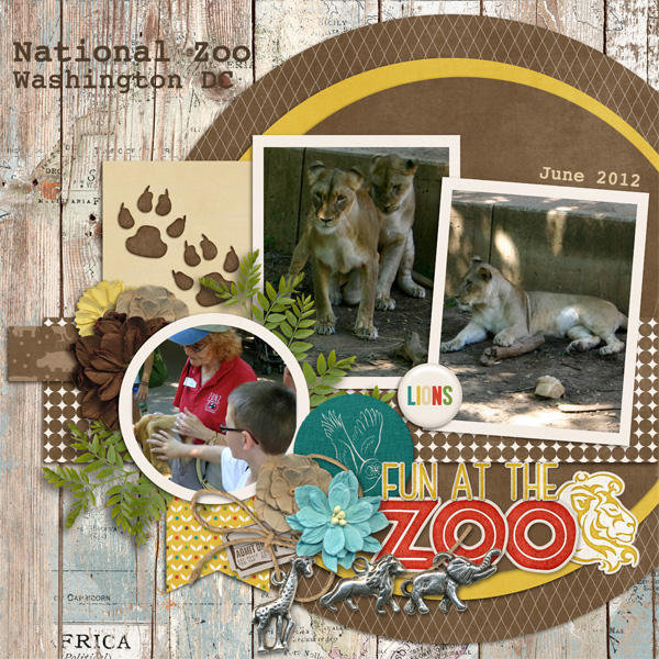 Lions at the National Zoo