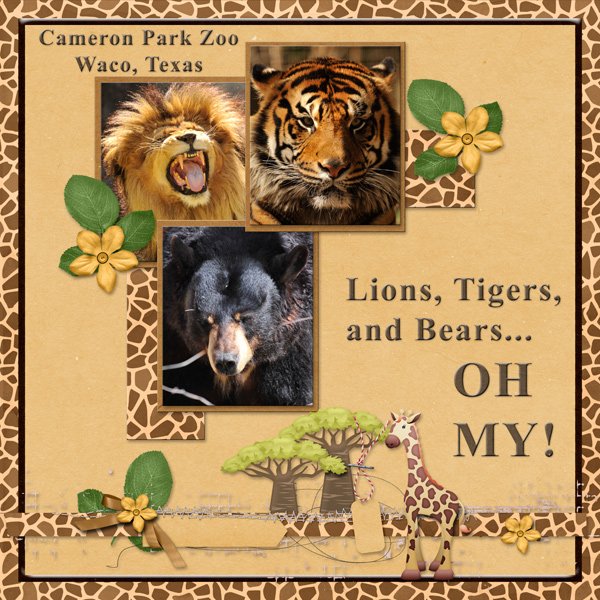 Lions, Tigers and Bears  OH MY!