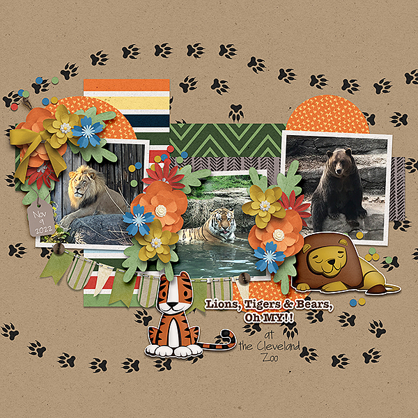 lions tigers bears..oh my!