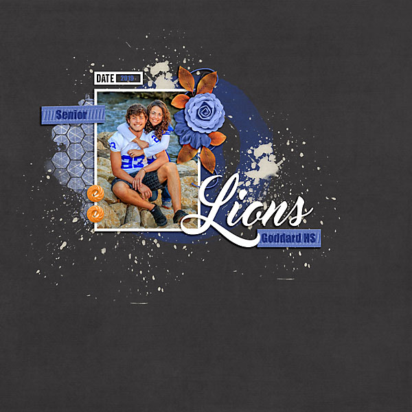 Lions