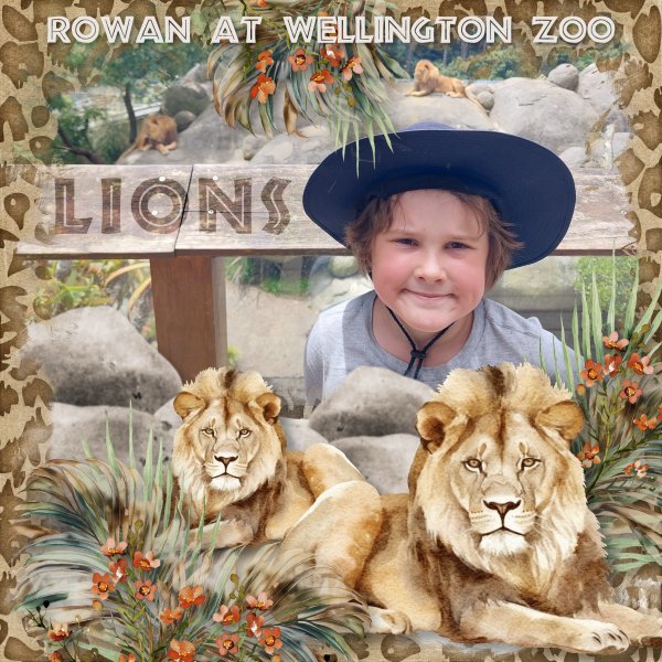 Lions