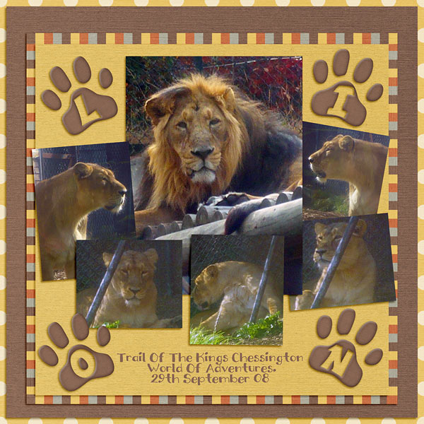 Lions