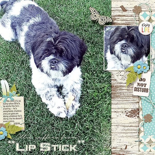Lip Stick