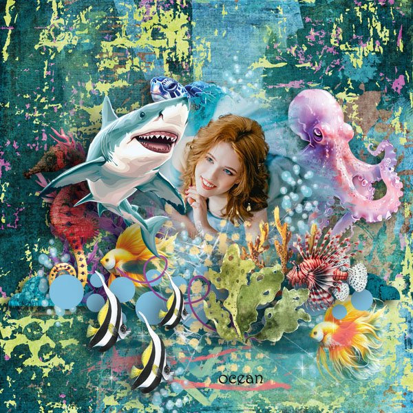 Liquid Zoo