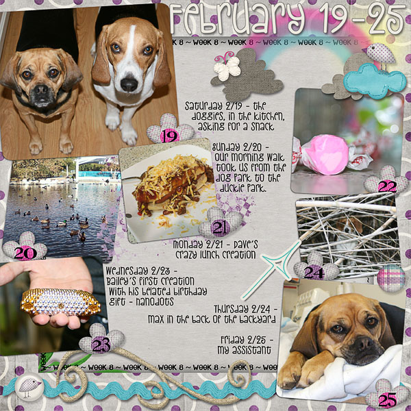 Lisa's Week Eight